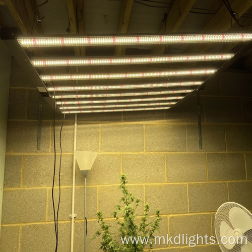 Best Selling LED 600W 8bar Grow Light